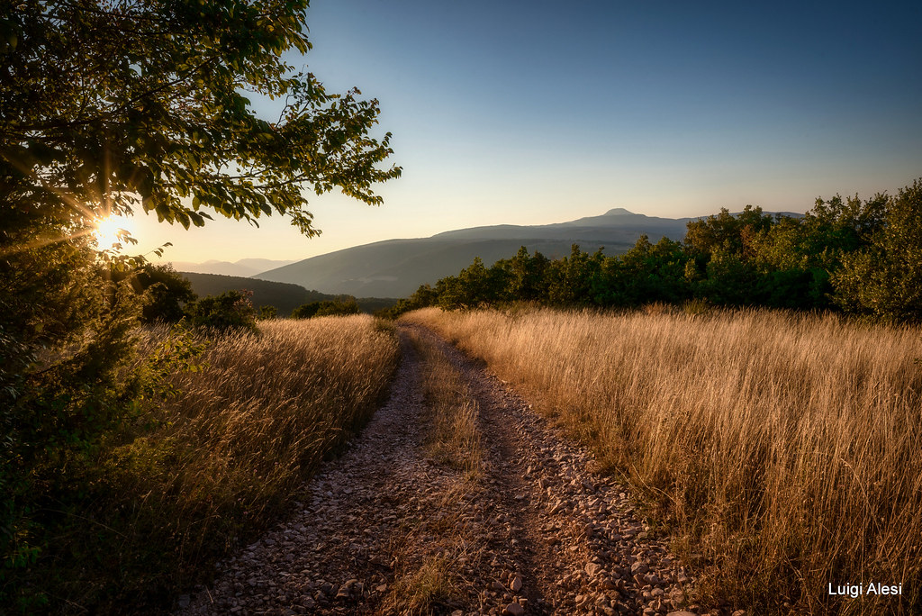 Walk at sunset on the hills of San Severino Marche