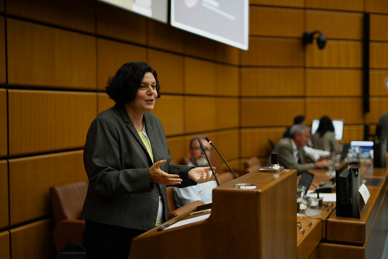 Sally Radwan, Chief Digital Officer at UNEP, offers a summary of key takeaways from the meeting to the audience.