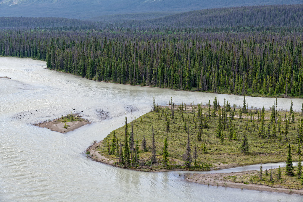 A Zoomed in View with the Athabasca River (Jasper National Park)