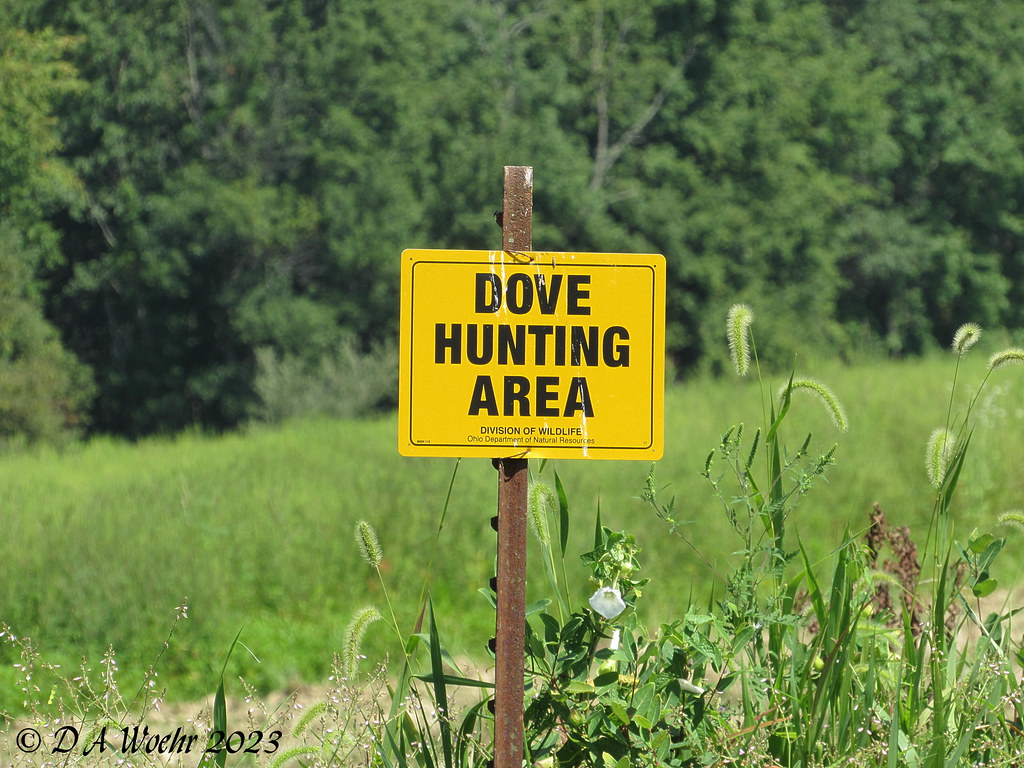 Dove Hunting Area