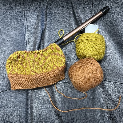 Maybe I will work on my Alpine Bloom Hat this weekend.