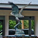 2023 - HAL Noordam Cruise #2 - Sydney NSW to Vancouver BC - Pago, Pago, American Samoa - 14 of A bronze American Eagle sculpture sits at the entrance to the Department of Youth &amp;amp; Women&#039;s Affairs building in Pago Pago.

The American Eagle figures prominently in the American Samoa flag.

The flag is blue with a white triangle, edged in red.

The triangle bears the American eagle.  The eagle grasps the symbol of power of the Samoan chiefs, the &amp;quot;uatogi&amp;quot; (war-club) and the symbol of wisdom of the councils, the &amp;quot;fue&amp;quot; (ritual stick). 

The colors of the flag are both Samoan and American, and the American eagle, holding traditional Samoan emblems, represents the protection and friendship of the United States.