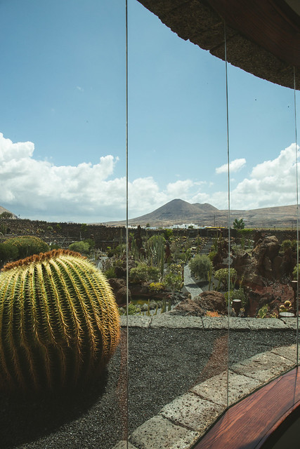 Jardin des Cactus