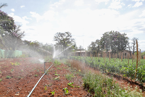 Novo canal de irrigação garante fornecimento a produtores de Planaltina