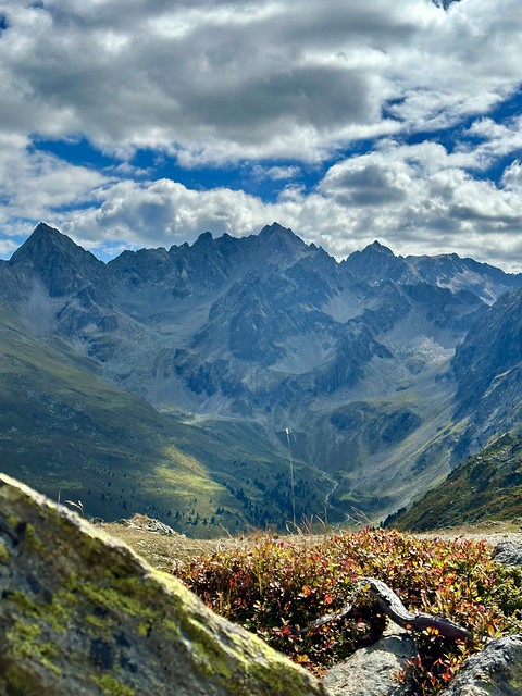 Wildgrat, Jerzens, Pitztal, Tirol, Austria