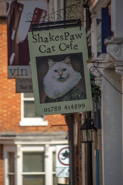Shakespaw Cat Cafe