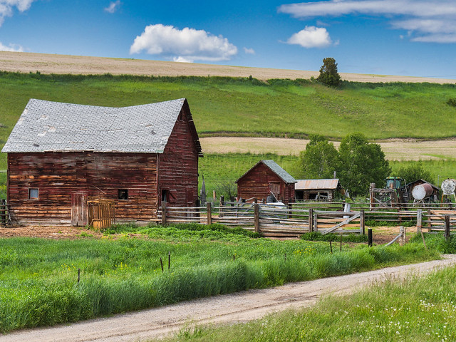 Montana Farm