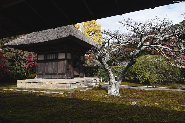 北鎌倉・長寿寺 ∣ Choju-ji Temple・Kita-Kamakura