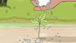 urea-fertilizer