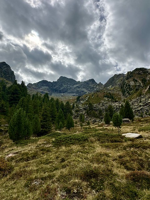 Zur Nisslalm im Ötztal, Tirol, Austria