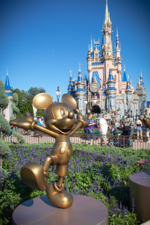 Mickey with Castle