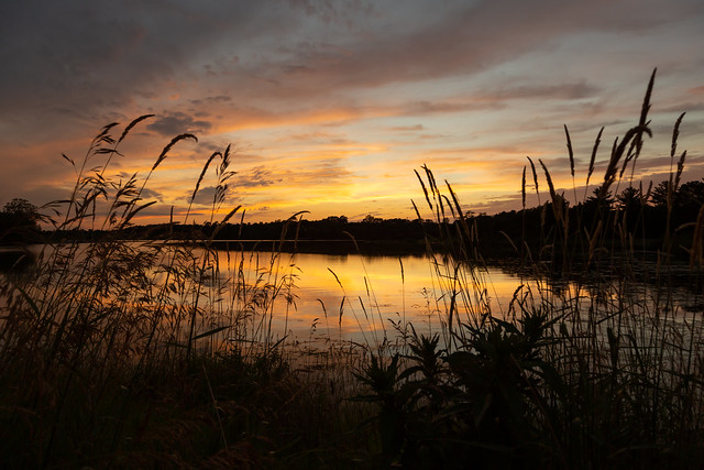 Prairie Rose Lake Sunset