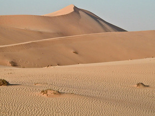 The Dune.jpg