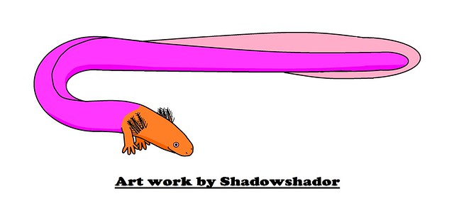Extinct giant siren (†Habrosaurus dilatus)