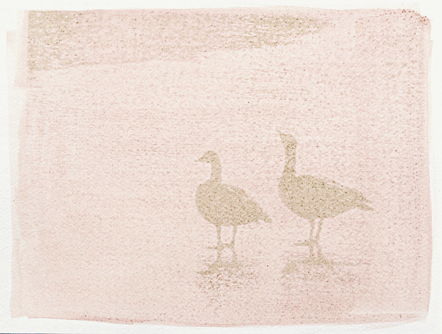Anthotype: Two Geese