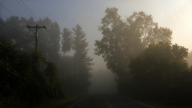 In The Morning Fog-HTT
