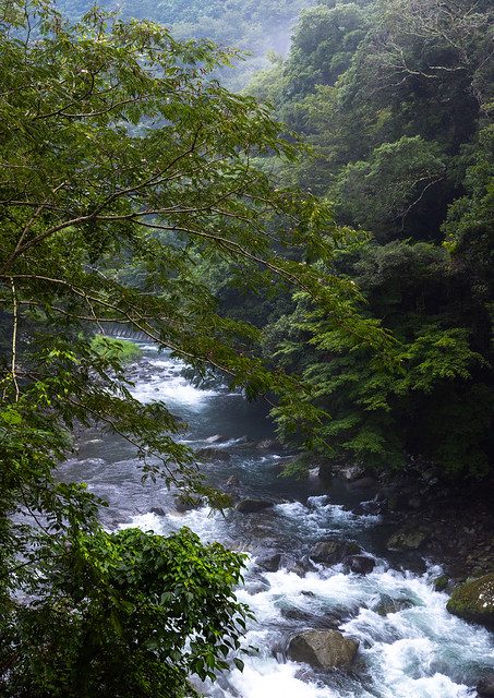 River in the forest seen from Arcana hotel, Shizuoka prefecture, Izu, Japan