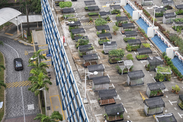 Community garden on roof of car park, Singapore