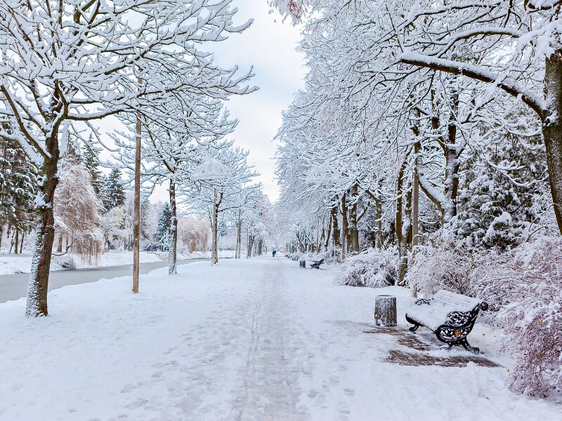 things to do in Krakow in winter - Planty Park