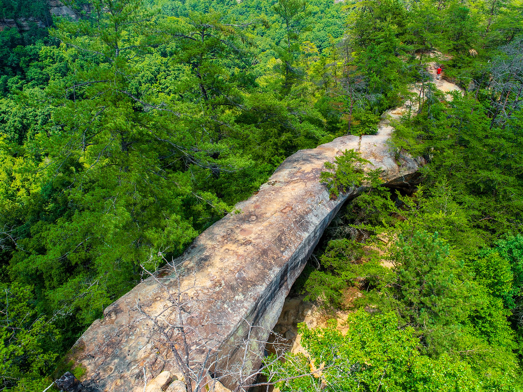 OSBORNE BEND LOOP
