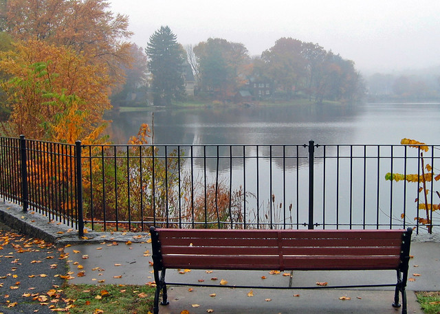 Ell Pond, November