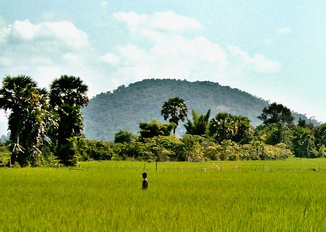 Angkor, Cambodia - Alone in Ricefields near Banteay Srey