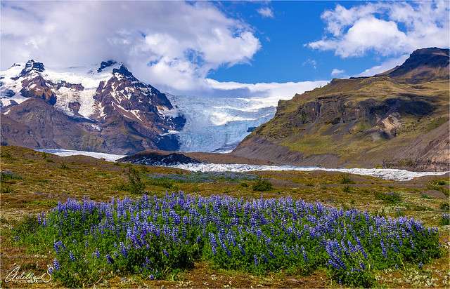 Iceland Beauty
