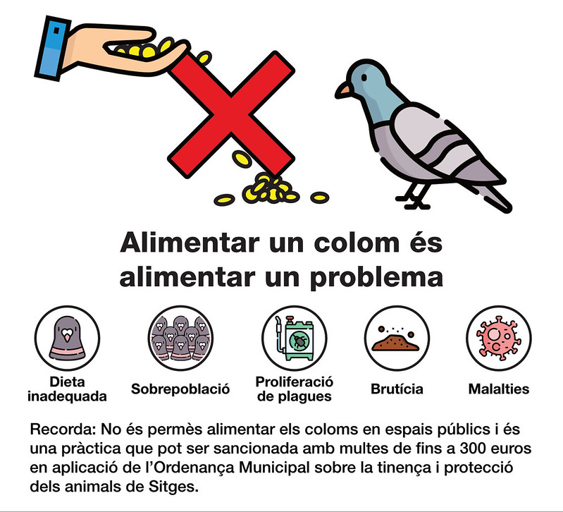El Ayuntamiento recuerda que está prohibido alimentar a las palomas en los espacios públicos