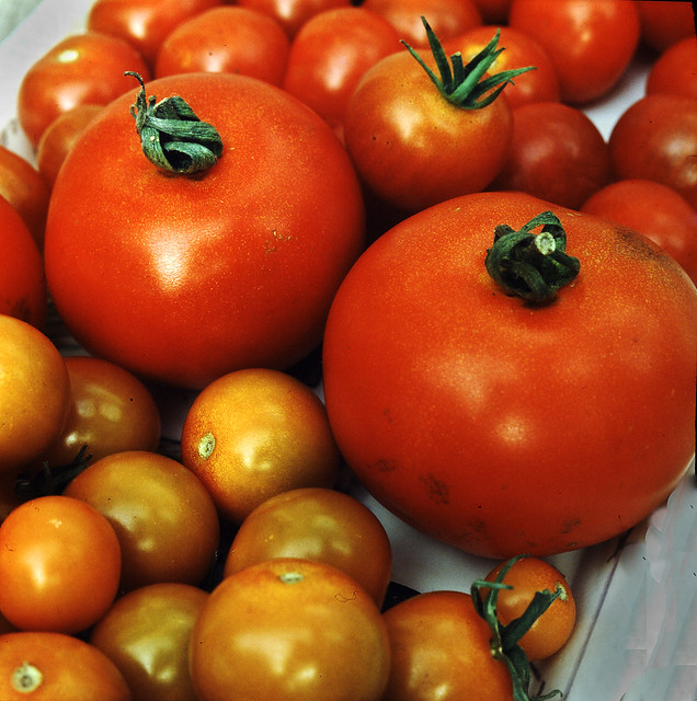Home-Grown Tomatoes