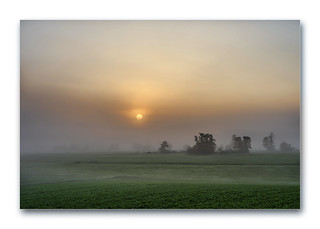 Sunrise in fog