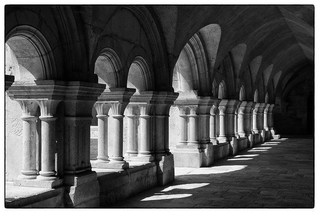 Cloître de l'Abbaye de Fontenay