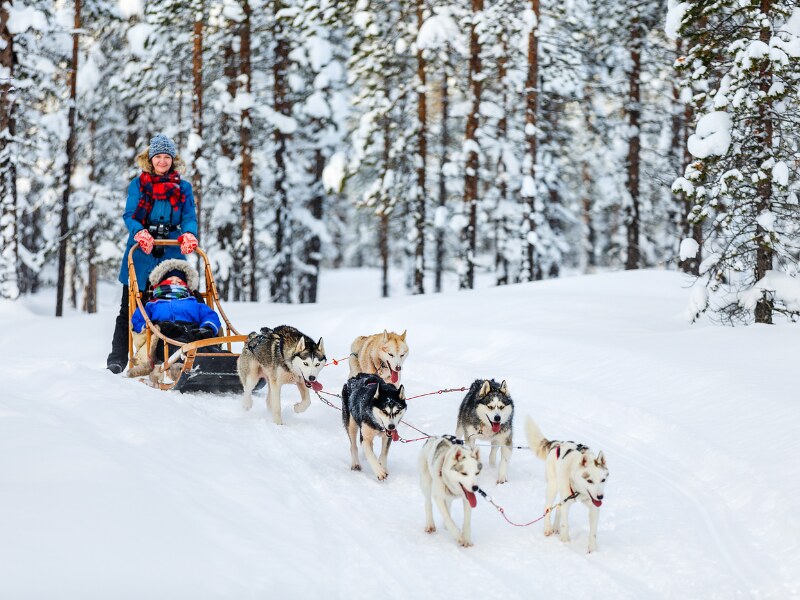 things to do in Riga in winter - latvia Husky dog sledding
