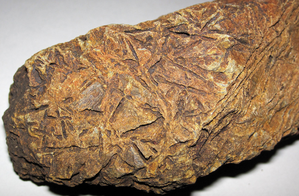 Spinifex metakomatiite (serpentinite) (Komati Formation, P… | Flickr