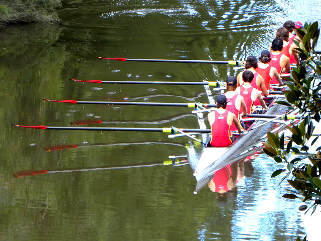Rowing Eight, Abbotsford