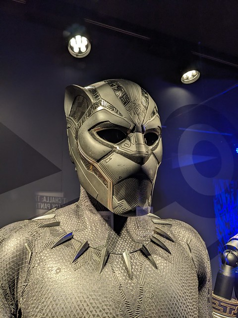 Black Panther Costume 2