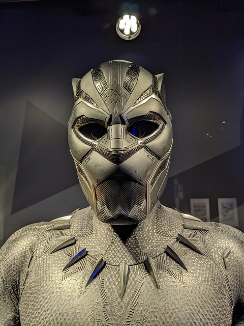 Black Panther Costume 1