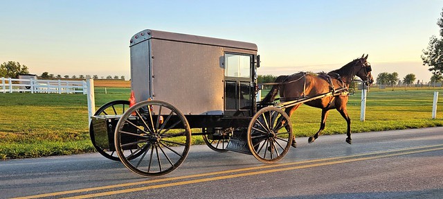 Pennsylvania Amish transportation along country roads @ Bird in Hand, PA