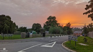 Sunset Sky, Old School Meadows
