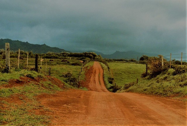 scanned film: another trip to kauai; red volcanic dirt road 1-90*