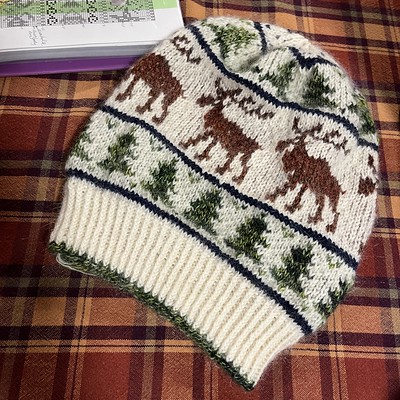 Kay (83krobbins) finished her Beware of the Moose by Amy Miller except for weaving in the ends and adding a pompom.