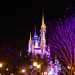 			<p><a href="https://www.flickr.com/people/26904205@N00/">tiggerrph</a> posted a photo:</p>
	
<p><a href="https://www.flickr.com/photos/26904205@N00/53204415470/" title="Cinderella Castle"><img src="https://live.staticflickr.com/65535/53204415470_4fe97e3b6e_m.jpg" width="240" height="160" alt="Cinderella Castle" /></a></p>


