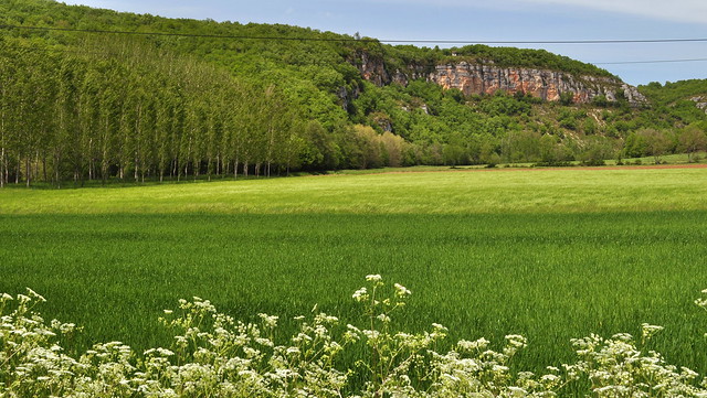 Campagne quercynoise, Cabrerets, Causses du Quercy, Lot, Occitanie.