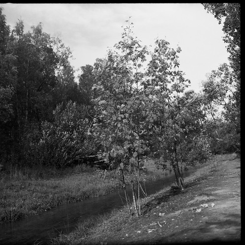 Pentacon six tl, kodak t-max 100 | by anutik.maslo
