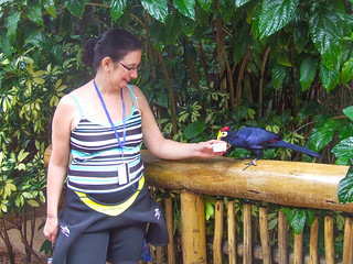 Discovery Cove Ross's turaco