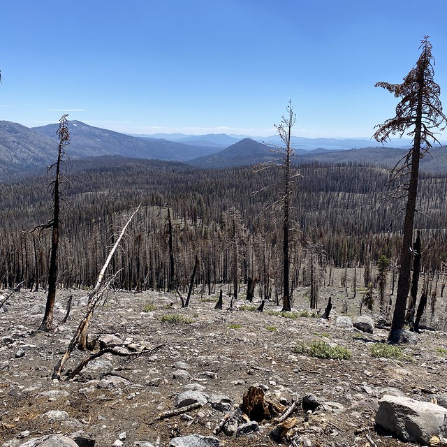 2021 Dixie Fire burn area, looking toward Lake Almanor....not much green out there!