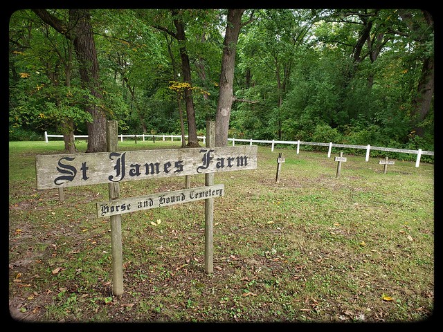 Horse & Hound, St. James Farm. (s9)