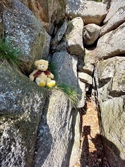 Jesse has found a bearcave in the Rabenauerklippen.Barnaby stay at home.He was tired.23-9-2023