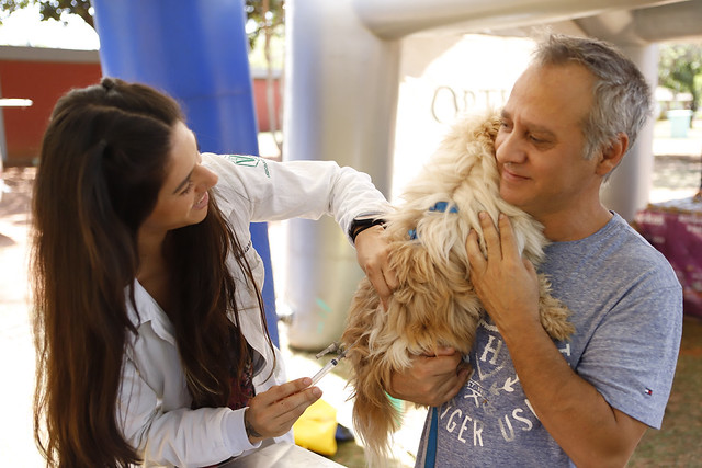 DF já imunizou mais de 121 mil cães e gatos contra a raiva em 2023