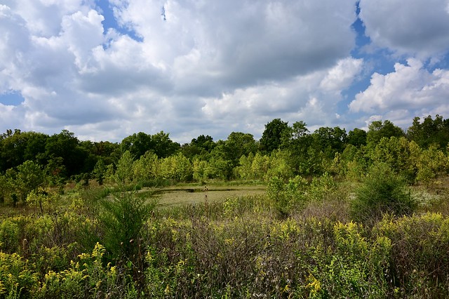 Fernald Preserve Pond with Clouds