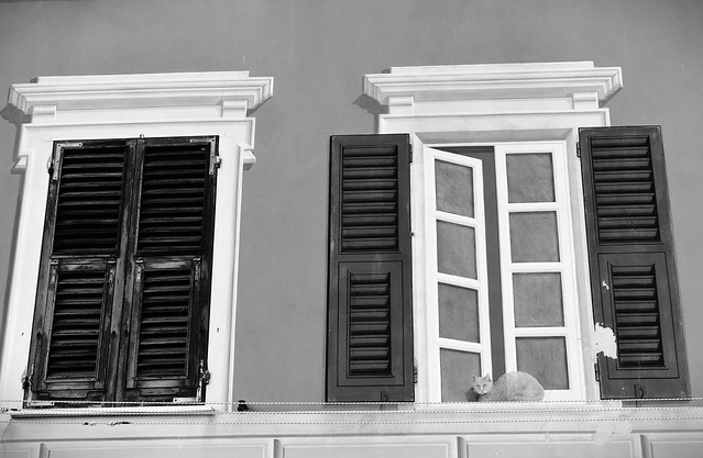 Camogli facciata dipinta con gatto e finestra